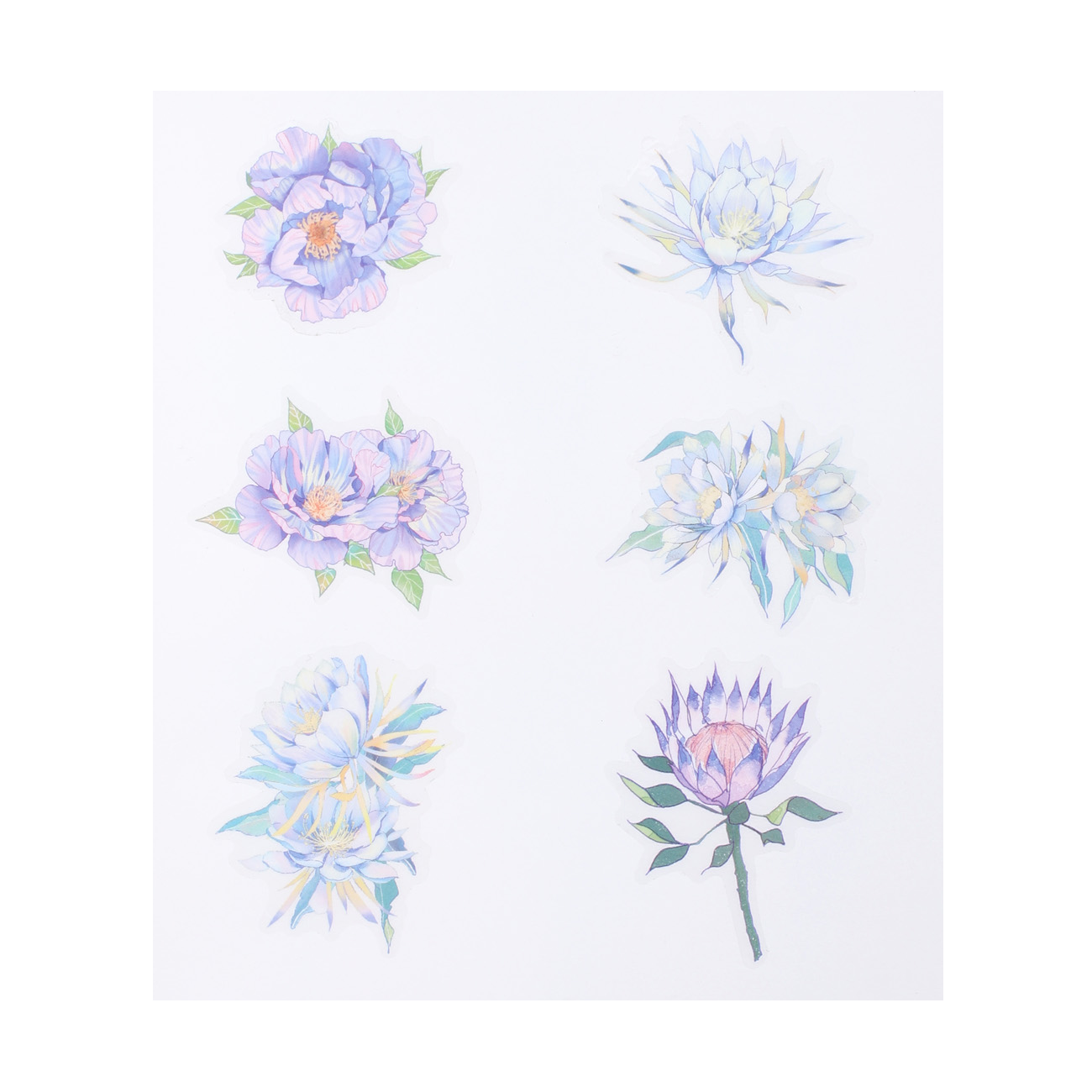 Floral Deco Stickers - Epiphyllum - Stationery Pal
