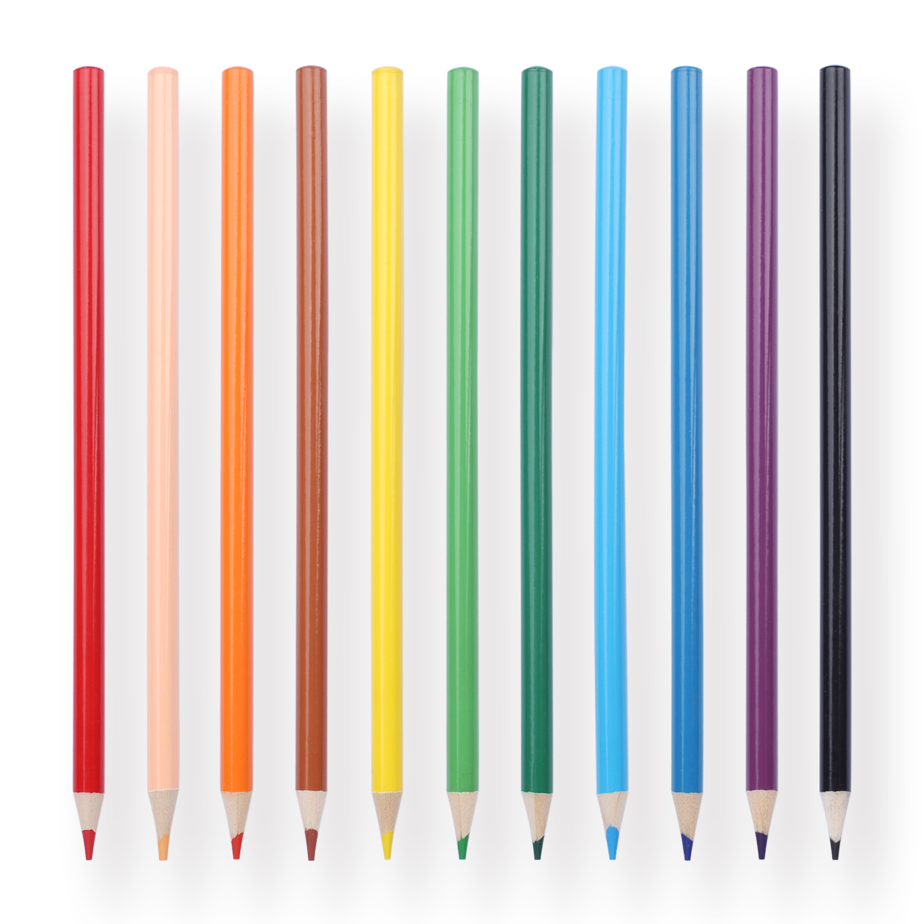 Kamio × Sanrio colored Pencils - 12 of Set - Cinnamoroll - Stationery Pal