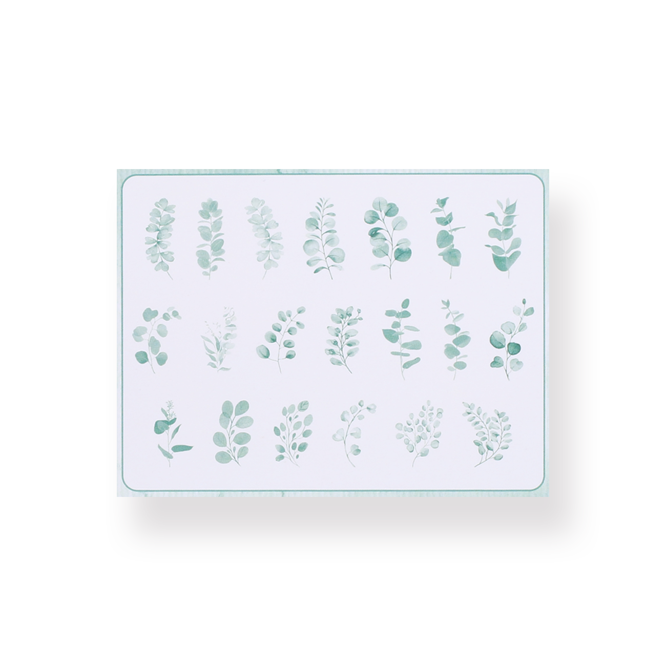 Translucent Flower and Plant Stickers - Eucalyptus - Stationery Pal
