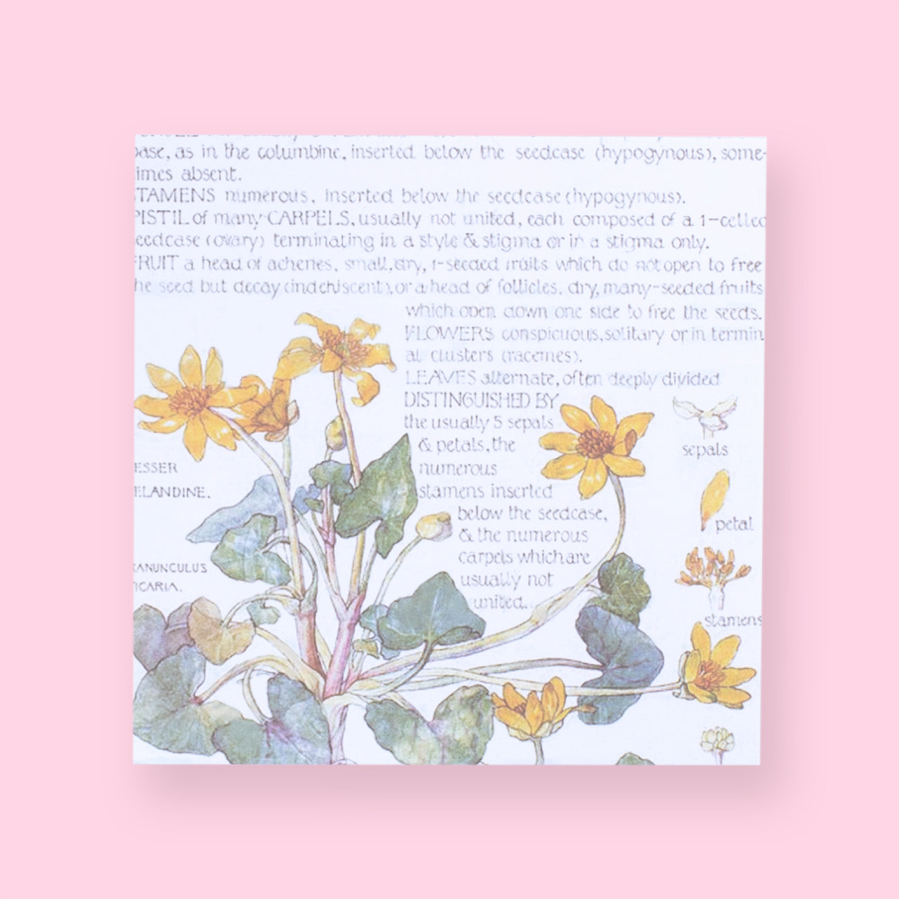Bronzing Vintage Scrapbooking Paper - Flower - Stationery Pal