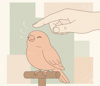How to Pet a Bird