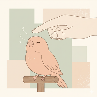 How to Pet a Bird