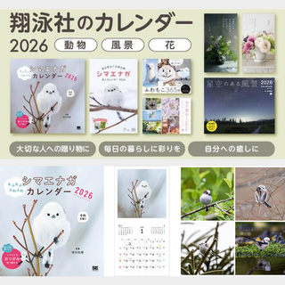 Cute Shimaenaga Calendar 2026 with fluffy birds, origami instructions, and postcard extras. Perfect Japanese desk or wall calendar for stationery lovers and animal fans.