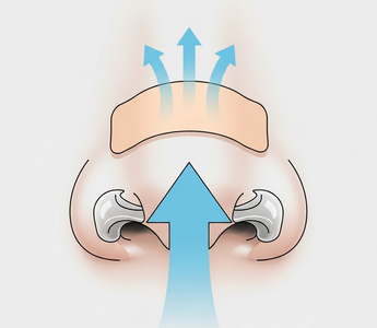 Best Snoring Solutions: What Actually Works (and What Doesn’t)