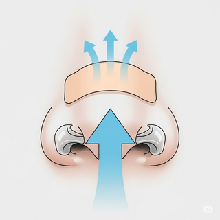 Best Snoring Solutions: What Actually Works (and What Doesn’t)