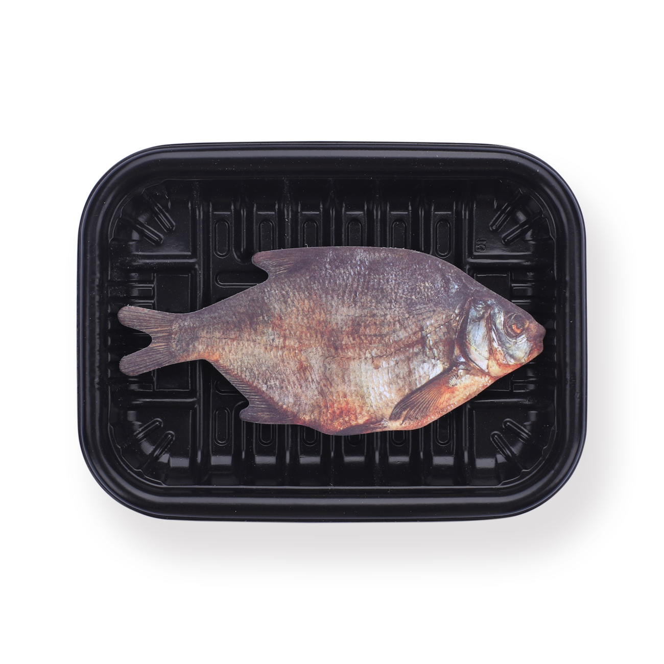 Fish Sticky Notes — Stationery Pal