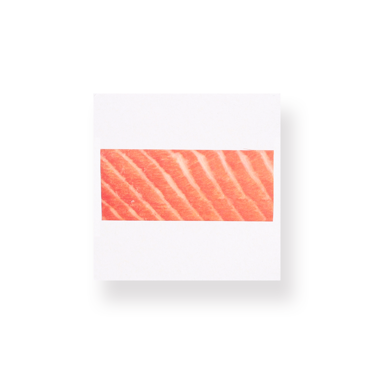 Food Roll Washi tape - Salmon - Stationery Pal