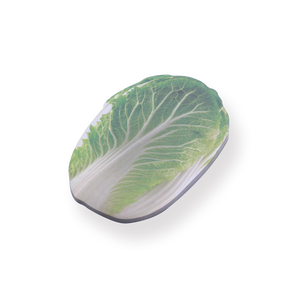 Fun Sticky Notes - Chinese Cabbage - Stationery Pal