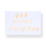 Karin Pigment Deco Brush Marker - Pastel Pumpkin 156U - Stationery Pal