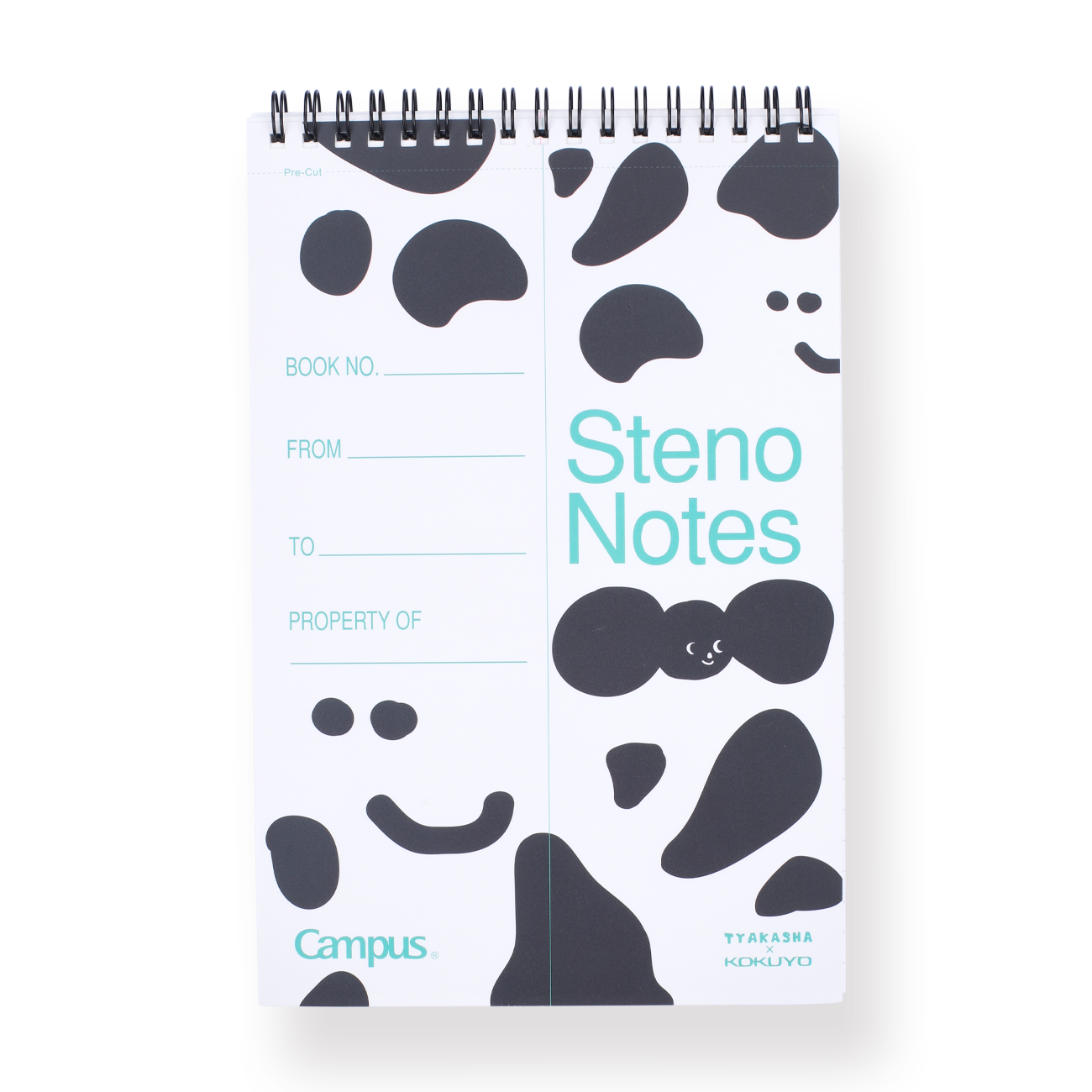Stenographer Notes