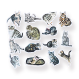 Meow Stickers - Tabby - Stationery Pal