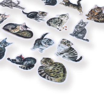 Meow Stickers - Tabby - Stationery Pal