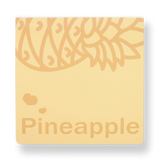 Minimalist Fruit Notebook - Pineapple - Stationery Pal