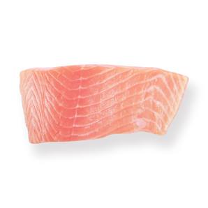 Salmon Sticky Notes - Stationery Pal