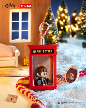 ⚡ MINISO x Harry Potter Magic Mirror Blind Box | Cute Wizard & Pet Figures! 🦉✨