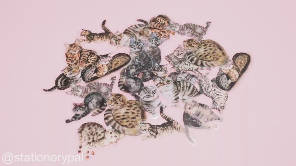 Meow Stickers - Tabby 