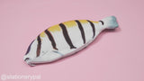 Acanthurus Triostegus Pencil Case