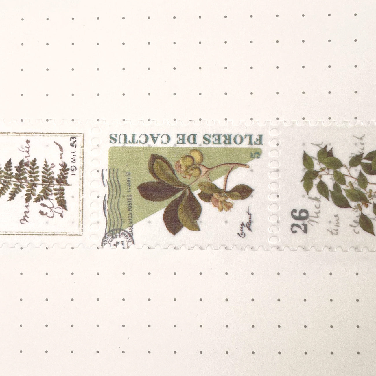 Stamp Washi Sticker - Plant