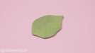 Leaves Sticky Notes