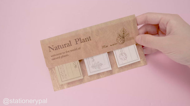 Natural Plant Scrapbooking Paper Pad Set - Maple