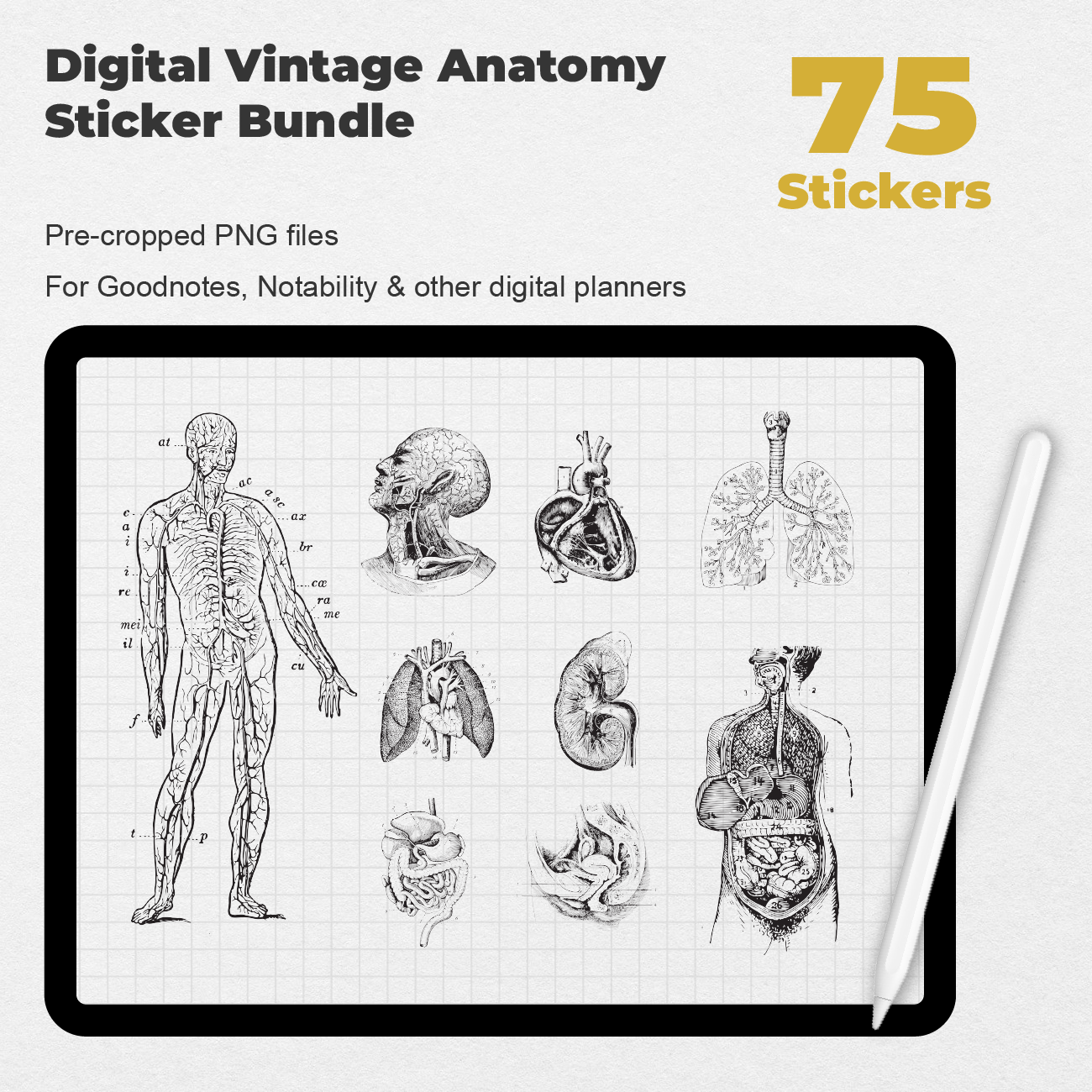 75 Digital Vintage Anatomy Sticker Bundle - Stationery Pal