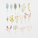82 Digital Dried Flowers Sticker Bundle - Stationery Pal