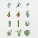102 Digital Adorable Cactus Plant Sticker Bundle - Stationery Pal