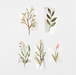 73 Digital Elegant Watercolor Leaves Sticker Bundle - Stationery Pal