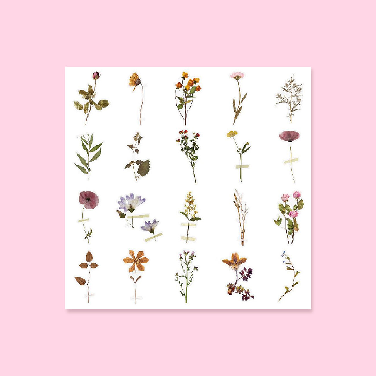 Floral Deco Sticker Pack - Tawny