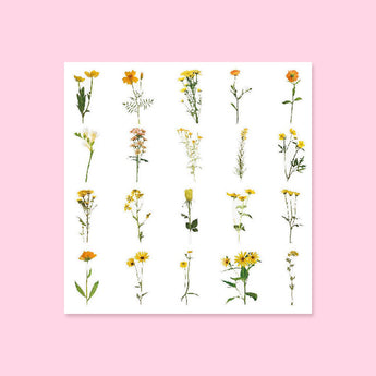 Floral Deco Sticker Pack - Vigour - Stationery Pal