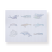 Holographic Sticker Pack - Whale - Stationery Pal