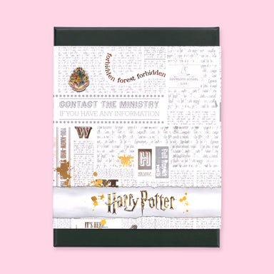 Platinum x Harry Potter Limited Edition Little Shooting Star Fountain Pen - Fine Nib - Slytherin