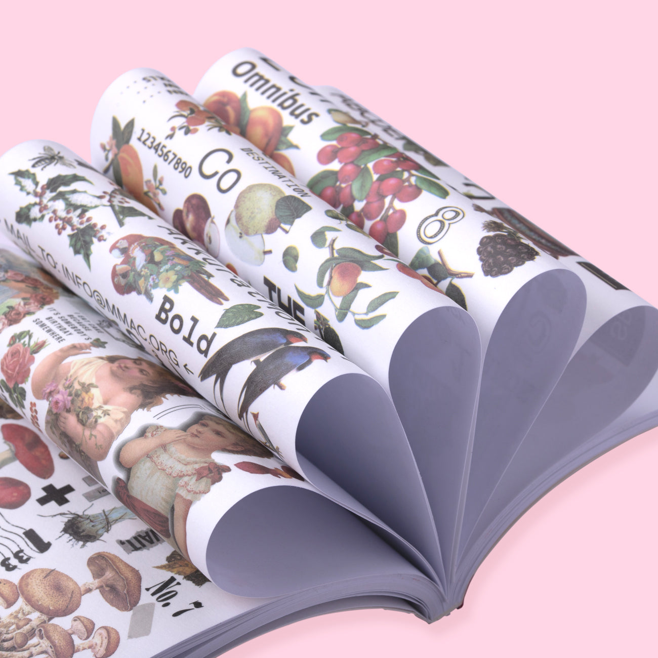 Rosy Posy Scrapbooking Paper Pad - Lovely