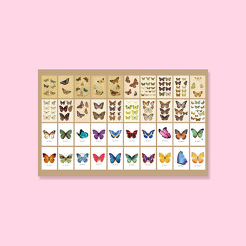 Mini Scrapbooking Paper Pad - Butterflies - Stationery Pal