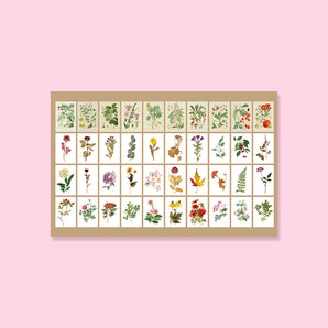 Mini Scrapbooking Paper Pad - Plants - Stationery Pal