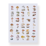 Mushroom Collection Sticker Pack - Stationery Pal