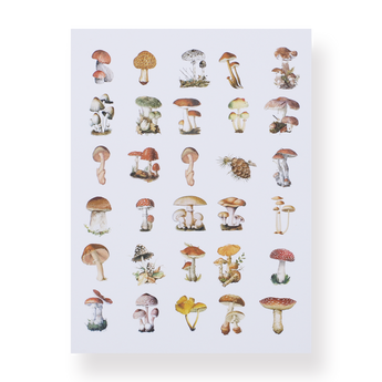 Mushroom Collection Sticker Pack - Stationery Pal