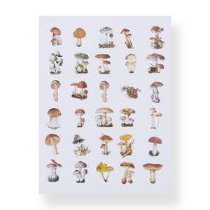 Mushroom Collection Sticker Pack — Stationery Pal