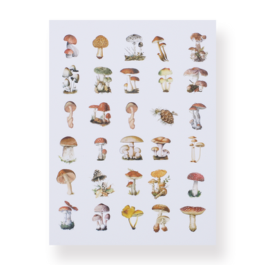 Mushroom Collection Sticker Pack - Stationery Pal