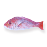 Red Seabream Pencil Case - Stationery Pal