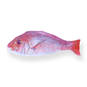 Red Seabream Pencil Case - Stationery Pal