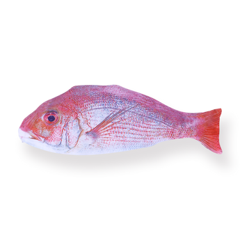 Red Seabream Pencil Case - Stationery Pal