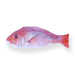 Red Seabream Pencil Case - Stationery Pal